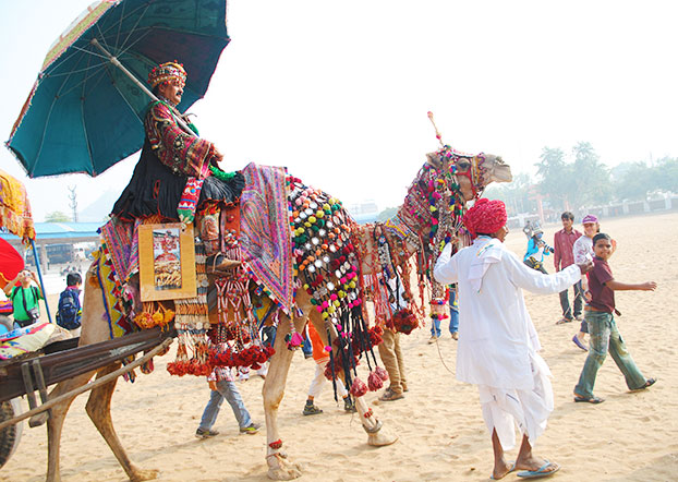 A man riding a camel in Pushkar Camel Fair
