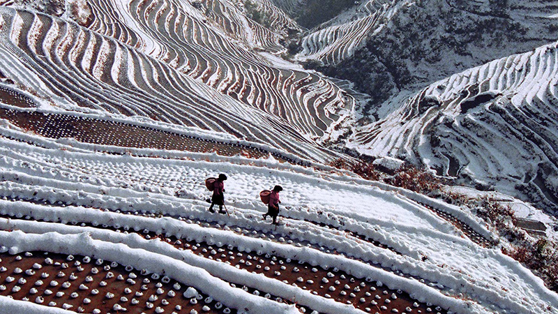 Longji Rice Terraces in Winter