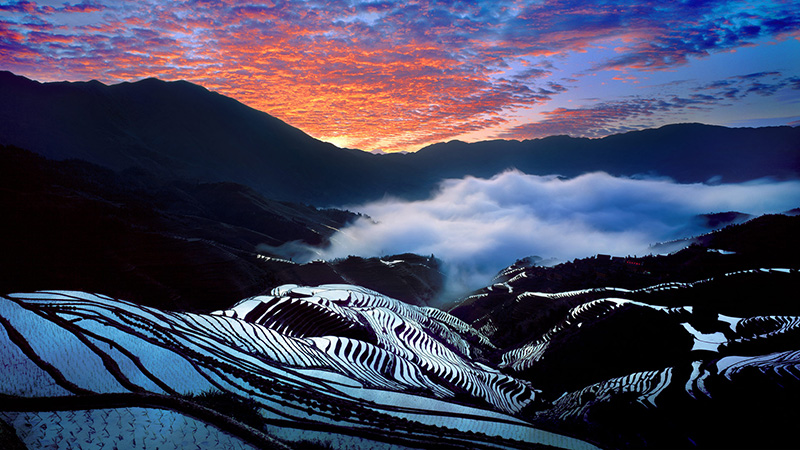 Longsheng Terraced Rice Fields