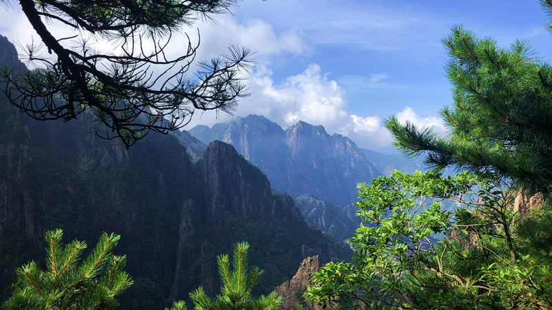 Pine Valley Scenic Area