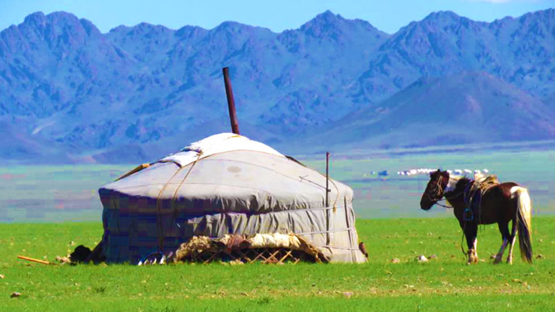 A horse and a yurt on Hulunbuir Grassland
