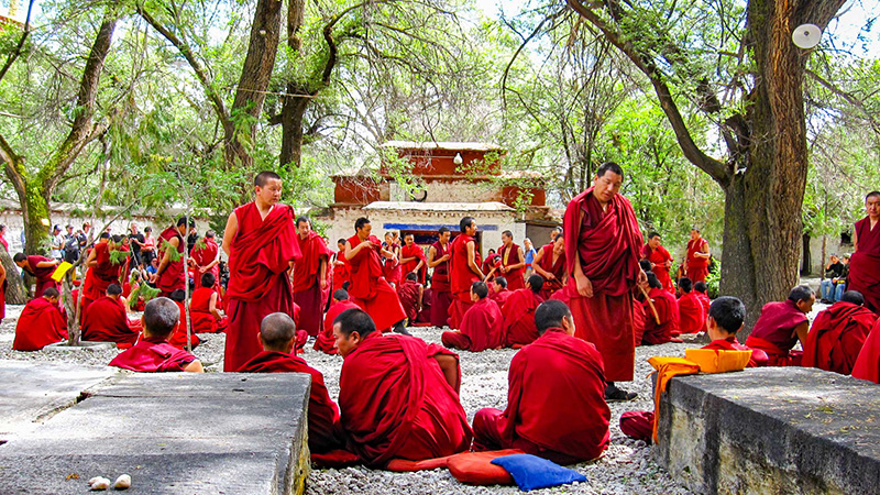 Monks Debating at Sera Monastery