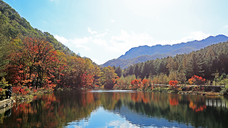 Stunning autumn view in China