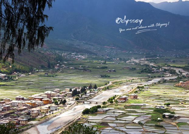 The pastoral view of Paro Valley