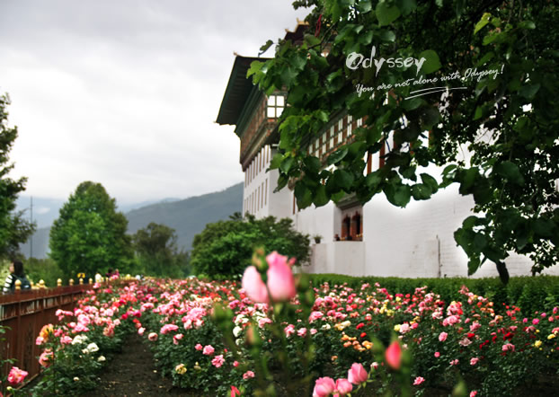Photo taken in Thimphu Dzong.