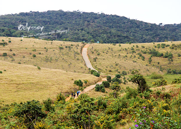 Horton Plains
