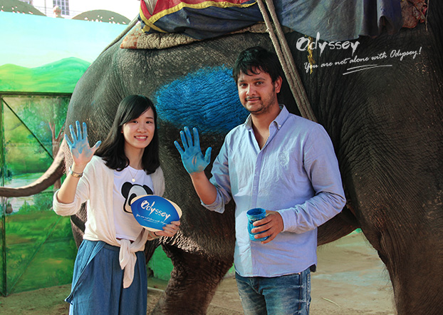 Having fun with elephants