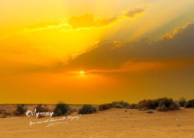 Thar desert’s gorgeous sunset