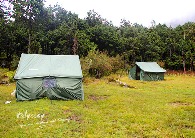 Odyssey stuff get tents ready before our client reach the campsite