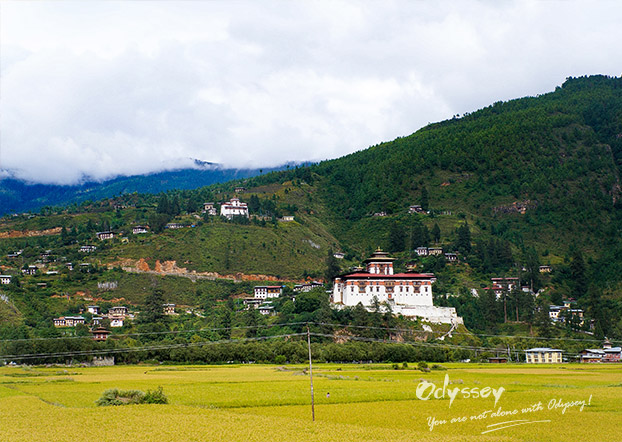 Paro in fall