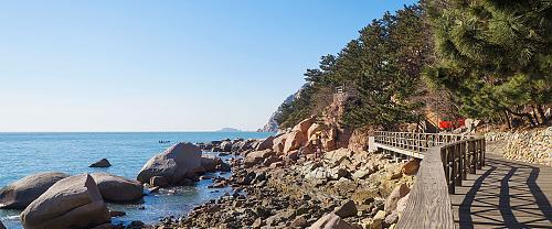 Qingdao Local Lifestyle