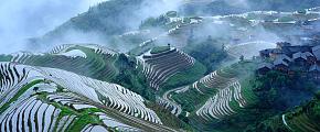 Longsheng Rice Terrace Tours 