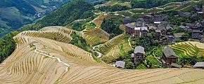 Longji Rice Terraces of Longsheng