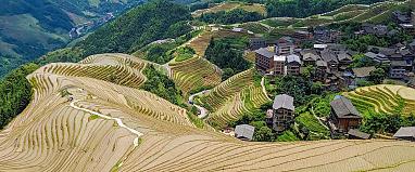 Longji Rice Terraces of Longsheng