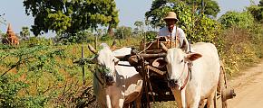 Ecotourism Experiences