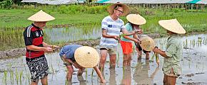 Experience farming in Laos