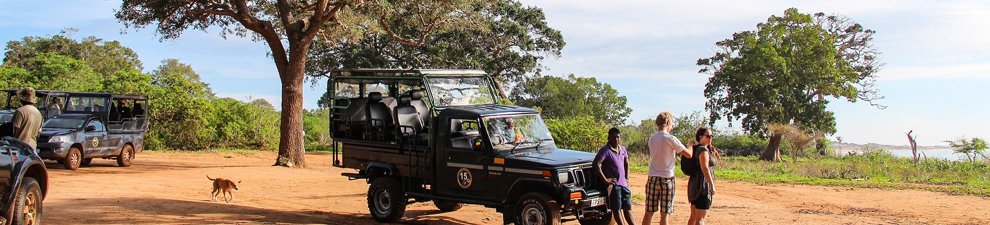 Jeep Safari in the Yala National Park, Sri Lanka