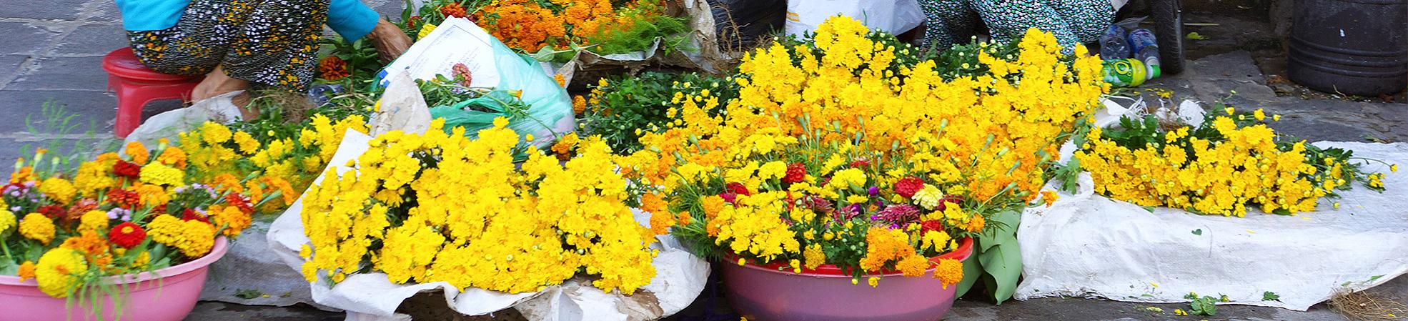 Flower Market, Vietnam
