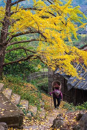 Autumn Tours