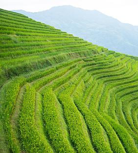 Spring in China