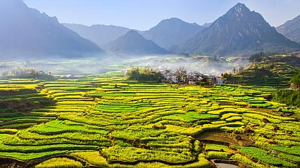 Scenic Landscape of Hongcun Village