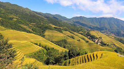 Longji Rice Terraces, Longsheng