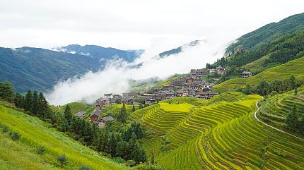 Longji Rice Terraces, Longsheng