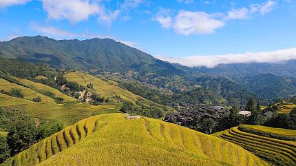 Longsheng Terraced Rice, Guilin