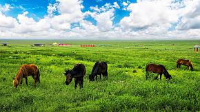 Inner Mongolia