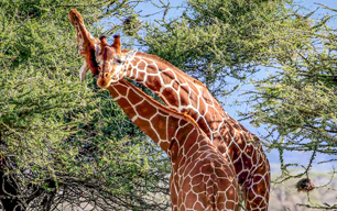 Nairobi, Kenya