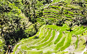 Bali, Indonesia