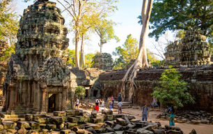 Ta Prohm Temple, Cambodia