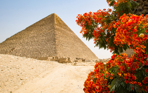 Egypt and Jordan Explorer