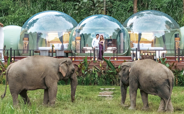 Spend Time with Elephants Closely