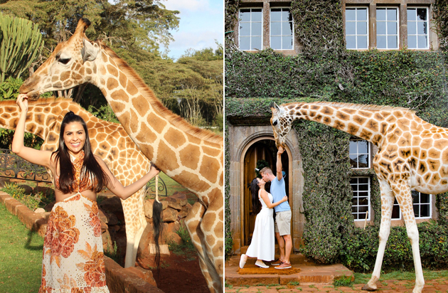 Take Photos With Giraffes