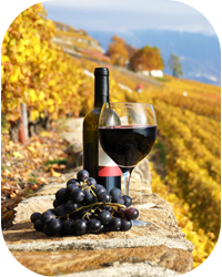 Best Places to Travel in Autumn