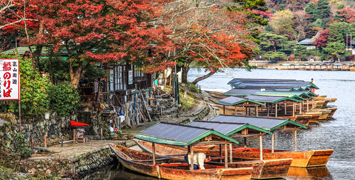 The Fall Foliage Season in Japan