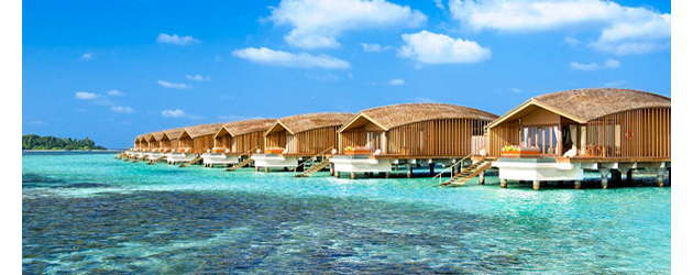 More Luxury Tours for Your Inspiration