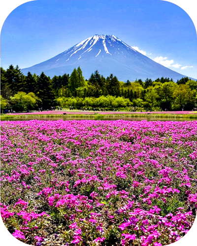 Mt. Fuji