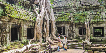 Ta Prohm Temple, Siem Reap