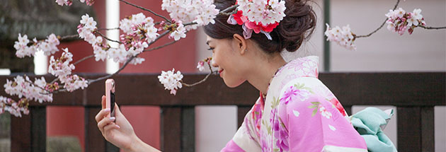 Sakura and Japanese Beauty