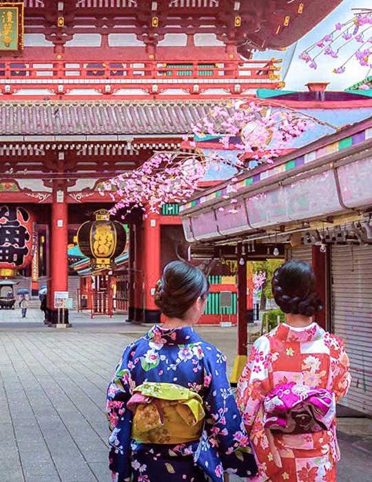 Sakura in Senso-ji Temple