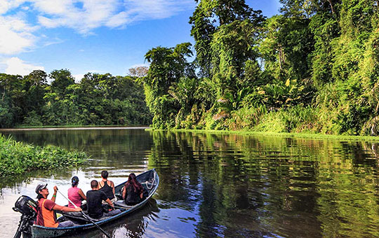 Paddling on Amazon's River