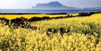Lusan Road in Jeju Island, South Korea