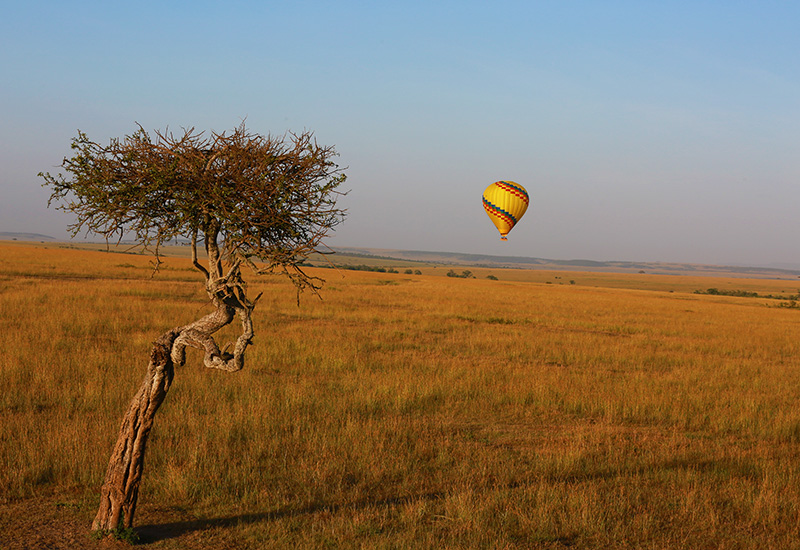 Hot air balloon flight over the Maasai Mara, Kenya