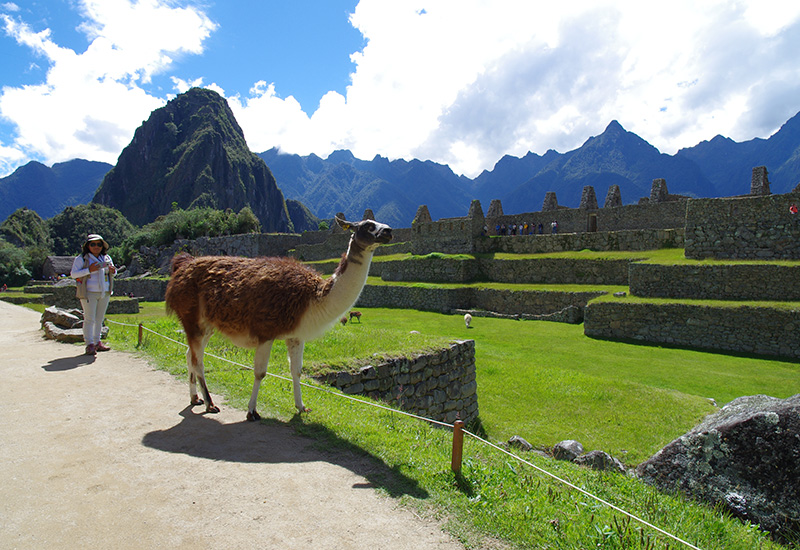 Machu Picchu in Peru