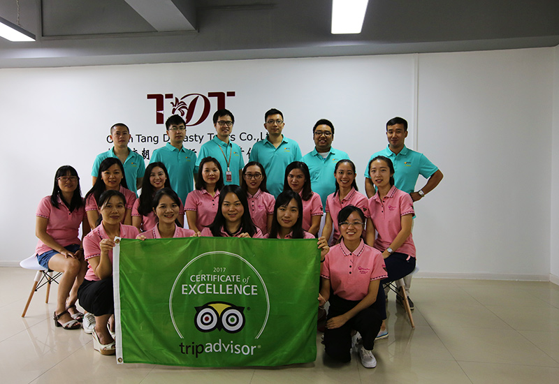 My Odyssey Tours' Certificate of Excellence 2017