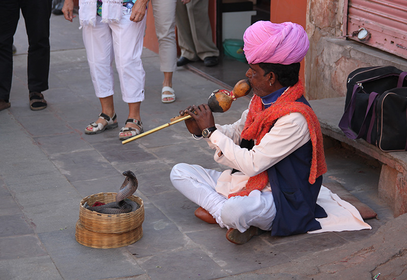 A snake charmer in India