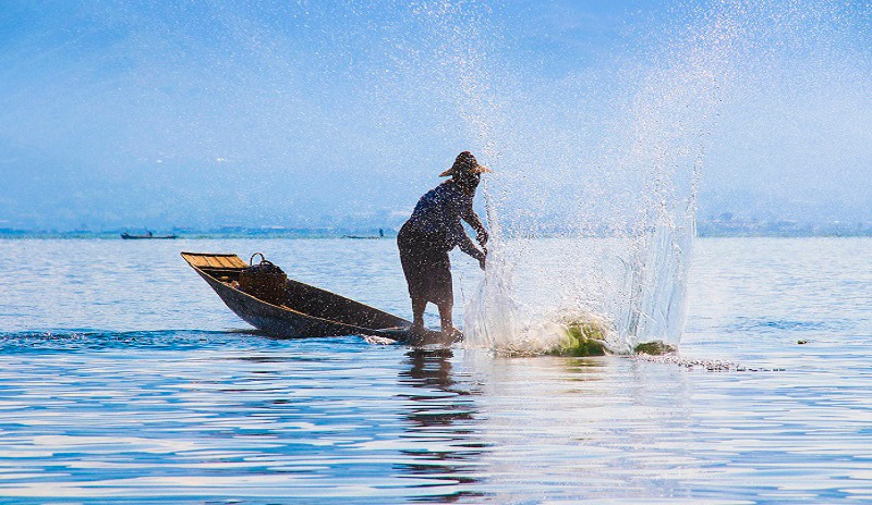 A fisherman is beating the water with stick to drive small fish into nets