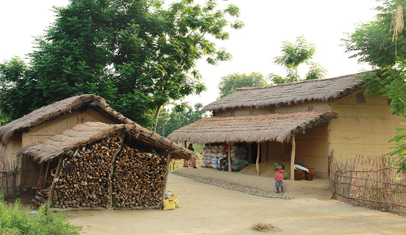 Traditional houses in a Tharu village